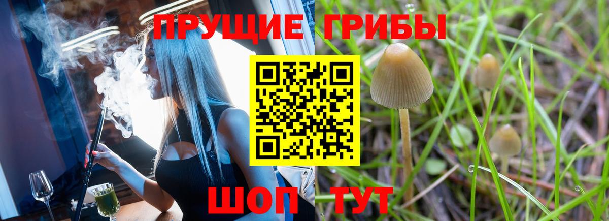 Псилоцибиновые грибы MAGIC MUSHROOMS Лыткарино