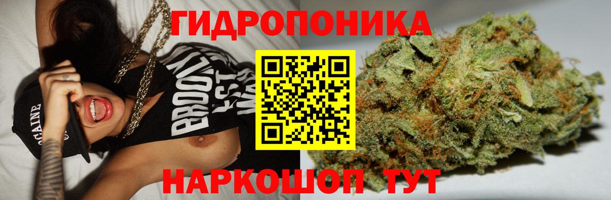 Шишки марихуана марихуана Лыткарино